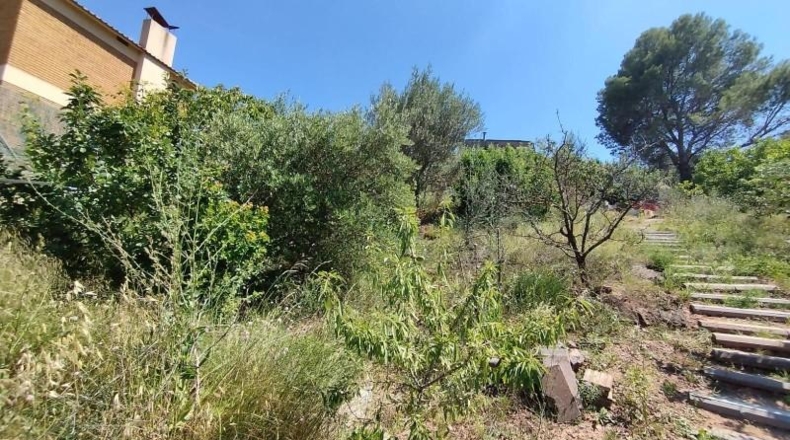 Barcelona - el Borràs - 900m2