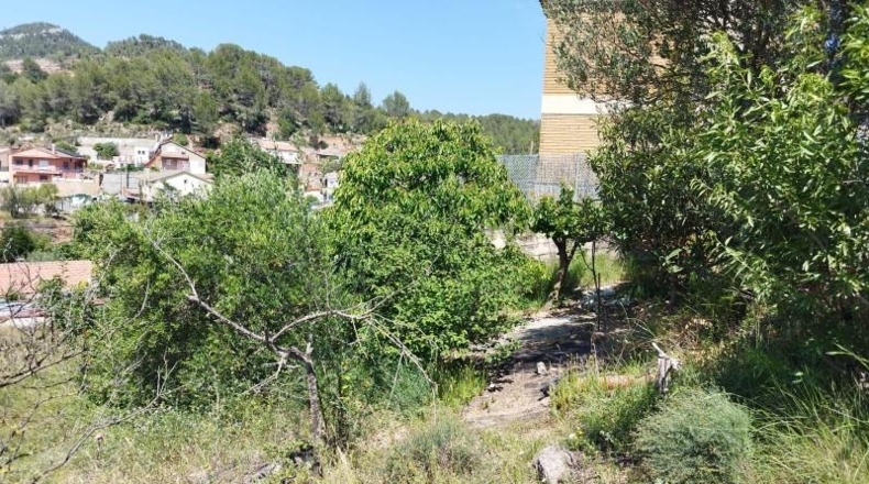 Barcelona - el Borràs - 900m2