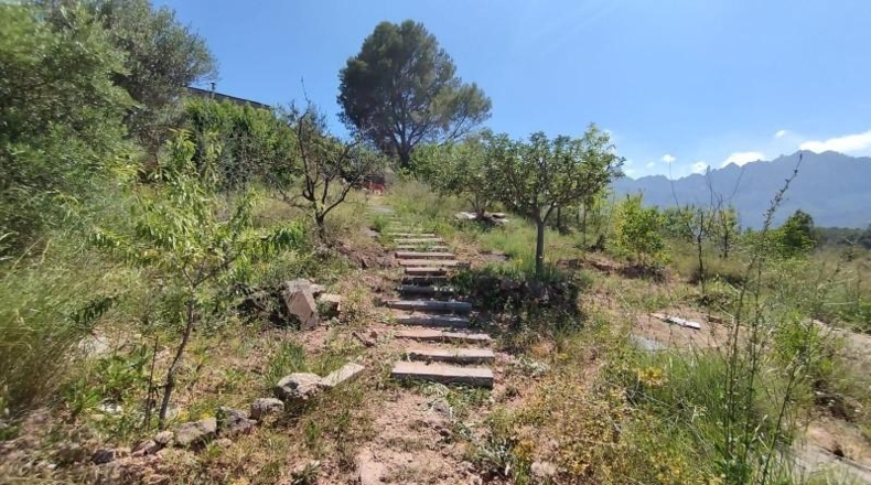 Barcelona - el Borràs - 900m2