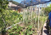 Sòl urbà en venda a la España, el Vilar, ref.: TR132219 foto