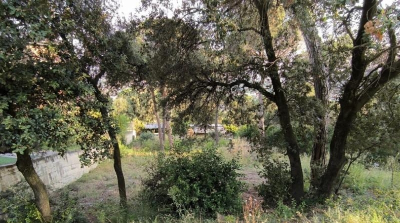 Barcelona - Bigues - 771m2