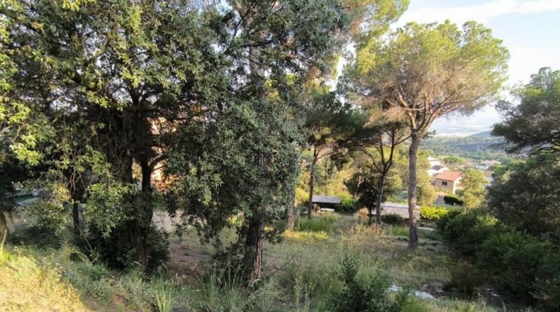 Barcelona - Bigues - 771m2