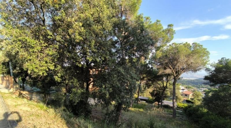 Barcelona - Bigues - 771m2