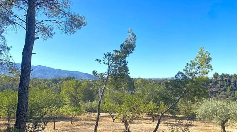 Tarragona - Aldover - 14993m2