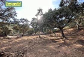 Encinarejo de Córdoba 2545&nbsp;m² 