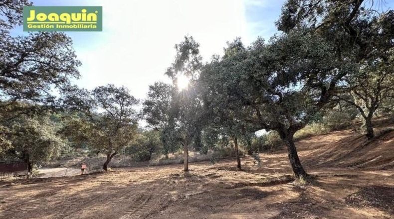 Córdoba - Córdoba - 2545m2