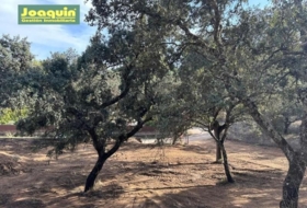 Encinarejo de Córdoba 2545&nbsp;m² 