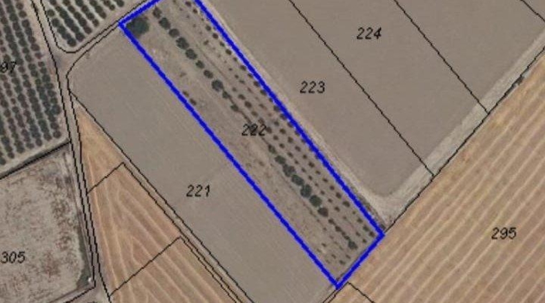 Murcia - Lorca - 5300m2