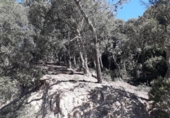 Sòl urbà en venda a la España, Lloret de Mar, ref.: TR126282 foto
