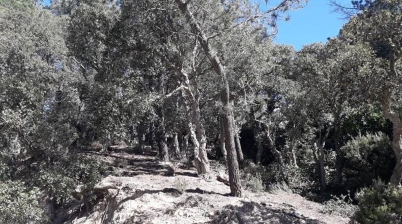 Gerona - Lloret de Mar - 928m2