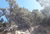 Sòl urbà en venda a la España, Lloret de Mar, ref.: TR126282 foto