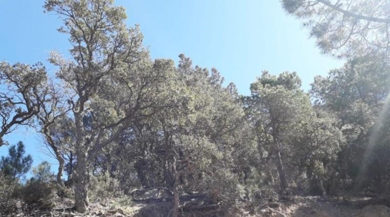Gerona - Lloret de Mar - 928m2