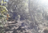 Sòl urbà en venda a la España, Lloret de Mar, ref.: TR126282 foto