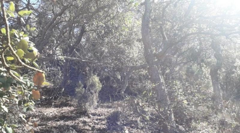 Gerona - Lloret de Mar - 928m2