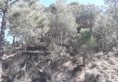 Sòl urbà en venda a la España, Lloret de Mar, ref.: TR126282 foto