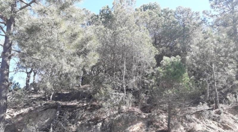 Gerona - Lloret de Mar - 928m2