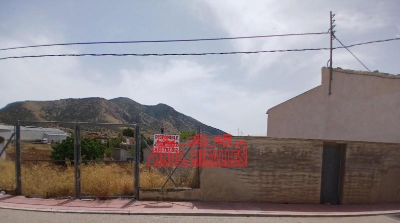 Alicante - Dolores - 1426m2