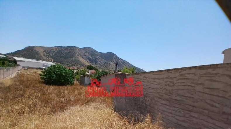 Alicante - Dolores - 1426m2