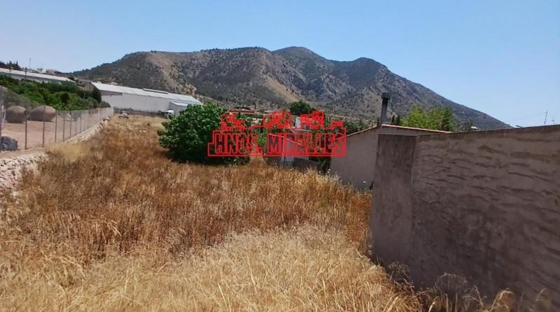 Alicante - Dolores - 1426m2
