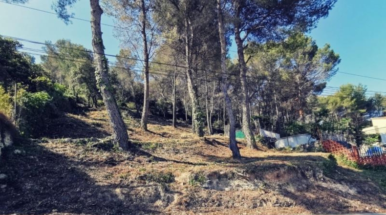 Barcelona - Canyelles - 1000m2