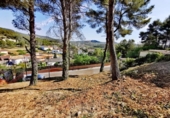 Urban land for sale on España, Canyelles, ref: TR328336 photo