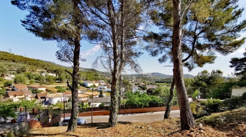 Barcelona - Canyelles - 1000m2