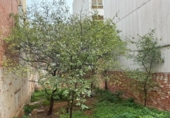 Sòl urbà en venda a la España, el Vendrell, ref.: TR341470 foto