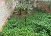 Sòl urbà en venda a la España, el Vendrell, ref.: TR341470 foto