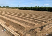 Terreno no urbanizable en venta en la España, Murcia, ref: TR341650 foto