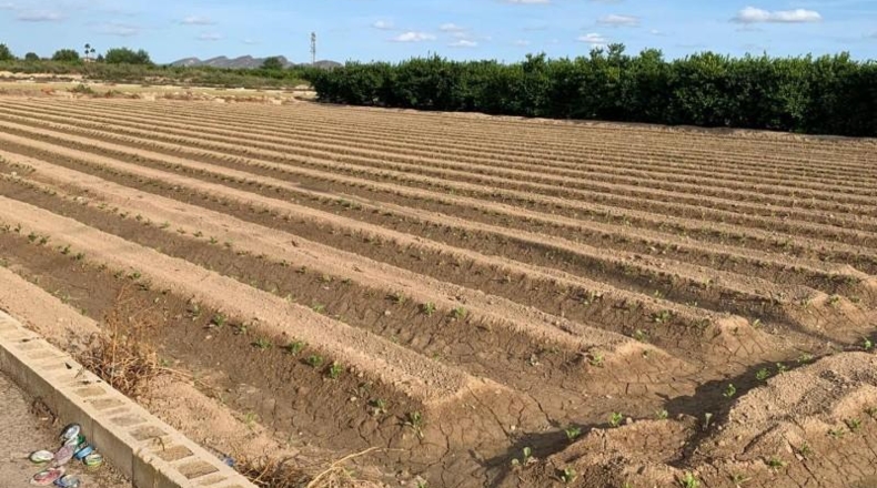 Murcia - Múrcia - 1876m2