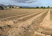 Terreno no urbanizable en venta en la España, Murcia, ref: TR341650 foto