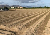 Terreno no urbanizable en venta en la España, Murcia, ref: TR341650 foto