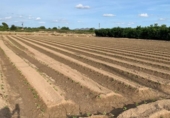 Terreno no urbanizable en venta en la España, Murcia, ref: TR341650 foto