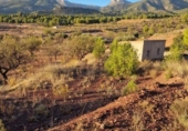 Casa de campo con terreno en venta en la España, Aledo, ref: TR276653 foto
