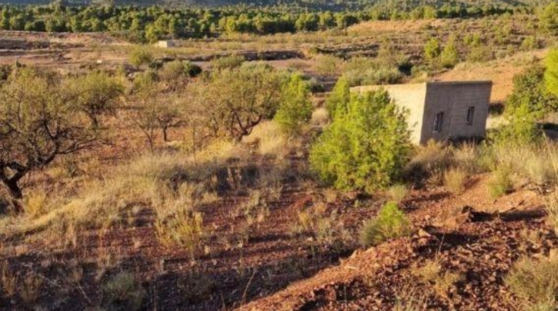 Murcia - Aledo - 4950m2