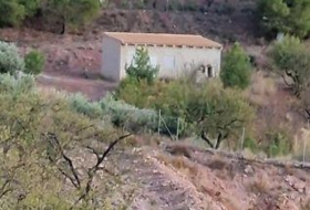 Foto 8
