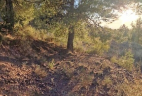 Foto 13
