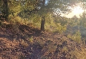 Casa de campo con terreno en venta en la España, Aledo, ref: TR276653 foto