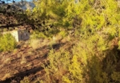 Casa de campo con terreno en venta en la España, Aledo, ref: TR276653 foto