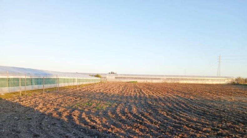 Cádiz - Chipiona - 5100m2
