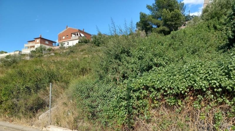 Comunidad de Madrid - Madrid - 814m2