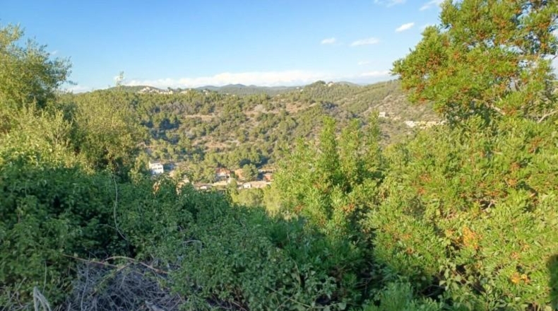Tarragona - Cunit - 1082m2