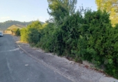 Urban land for sale on España, Castellet, ref: TR336900 photo