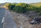 Urban land for sale on España, Castellet, ref: TR336900 photo