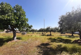 Albalá 3000&nbsp;м²