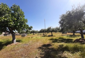 Albalá 3000&nbsp;м²
