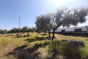 Albalá 3000&nbsp;м²