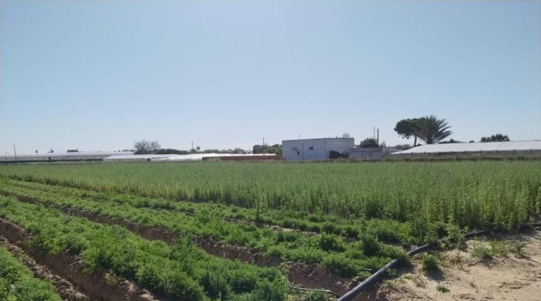 Cadiz - Чипиона - 4475m2