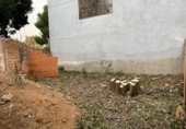 Sòl urbà en venda a la España, Sant Pere de Ribes, ref.: TR279834 foto