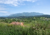Дом с участком на продажу в городе Colunga Фото